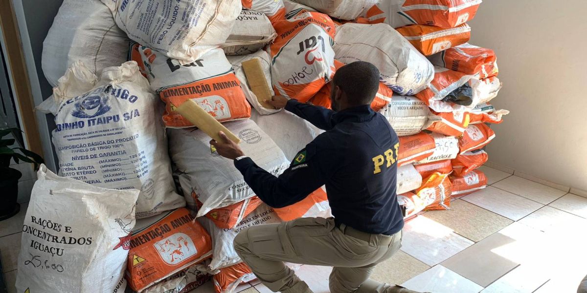 PRF apreende caminhão carregado com 78 fardos de maconha na BR-277
