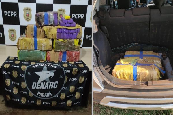 Denarc Cascavel apreende 113 kg de maconha na BR-369
