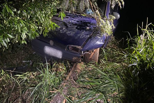 Carro colide violentamente em árvore na PR-239; Condutor abandona veículo com passageiro ferido