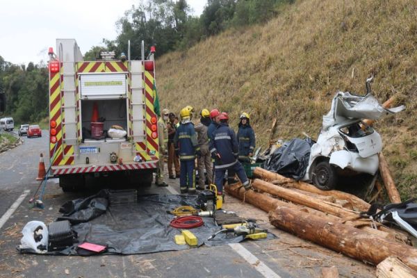 Quatro morrem após carga de madeira cair de caminhão e atingir carro na BR-376