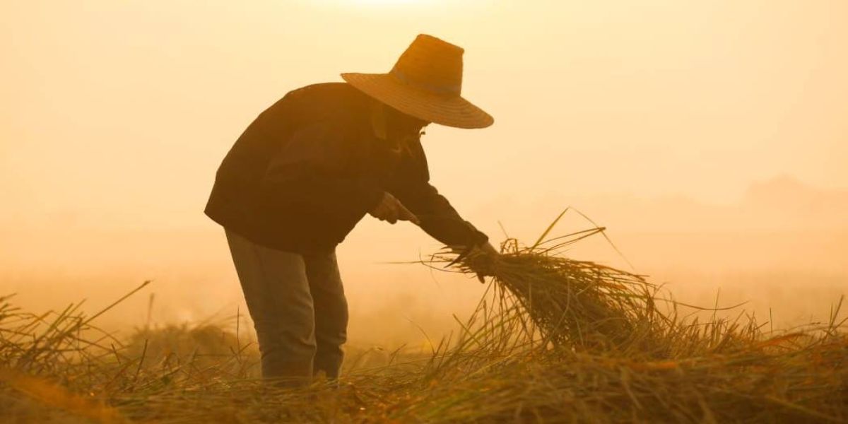 Trabalhador rural não deve mais receber hora extra por tempo de espera do ônibus, decide TRT
