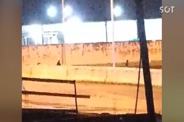 Imagem referente a notícia: Vigilante registra furto de fios no Viaduto Theobaldo Bresolin; GM age rápido e três são detidos