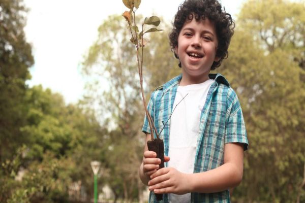 Semana da Árvore foca em conscientização sobre preservação ambiental