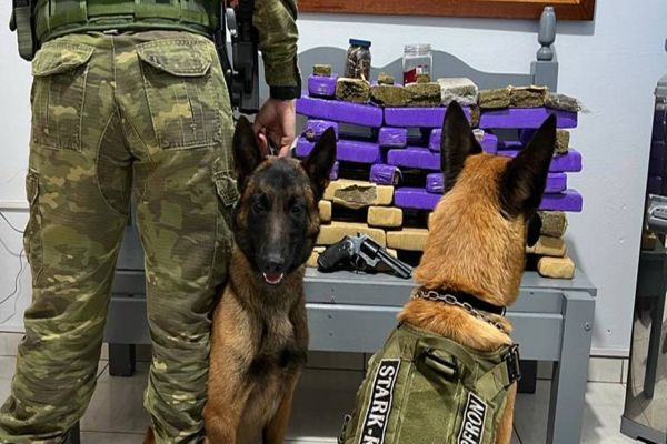 BPFRON apreende duas pessoas com drogas e arma de fogo em Cafelândia