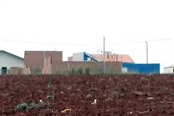 Grávida de 7 meses é encontrada morta com barriga e partes íntimas mutiladas