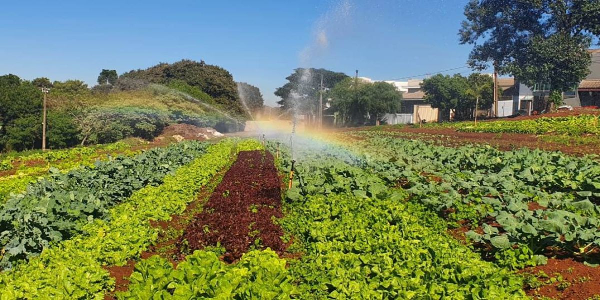 Boas práticas em manipulação de alimentos é tema de curso