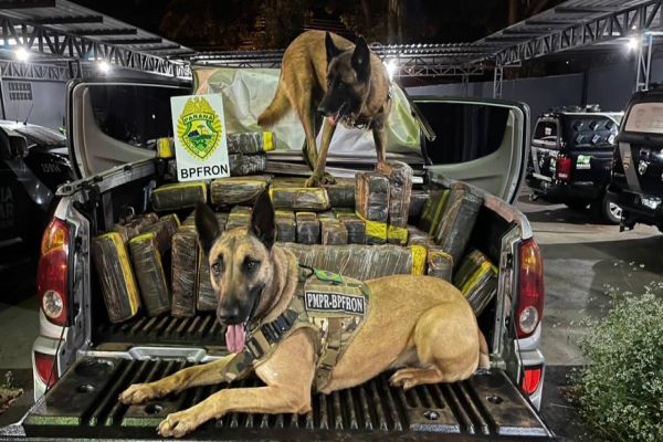 Carro carregado com 566 kg de maconha é apreendido pelo BPFron