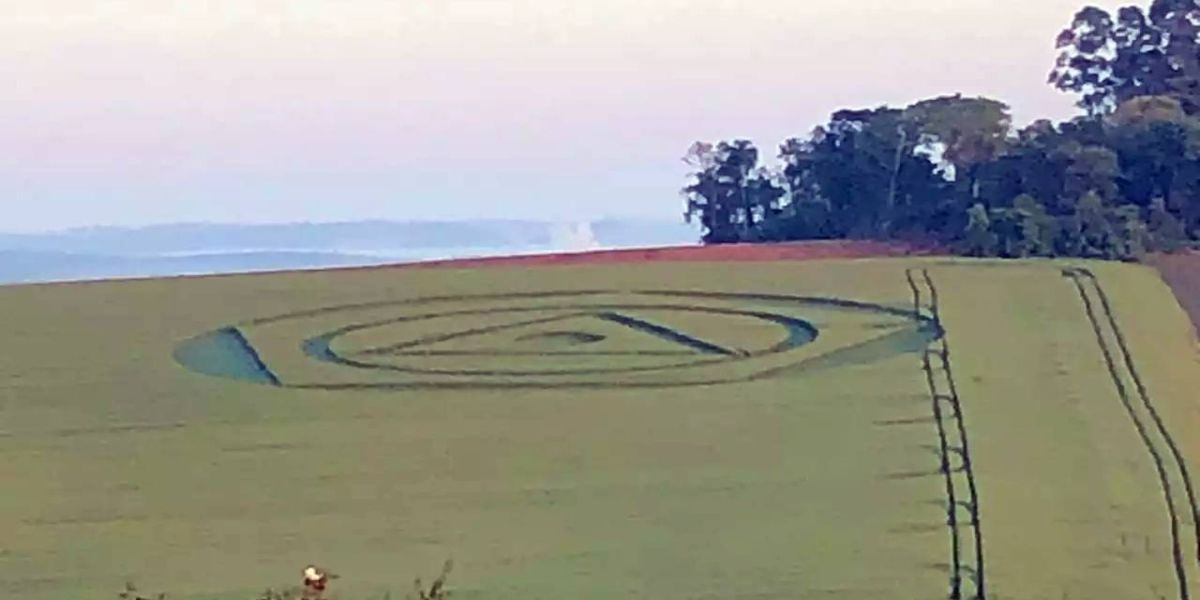Agroglifos aparecem em plantação de trigo em Ipuaçu, no Oeste de SC
