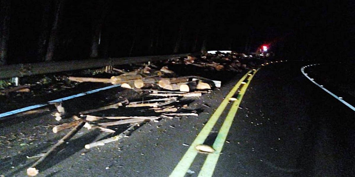 Carga de lenha cai sobre a pista e causa transtornos na PR-573