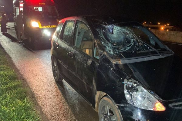 Imagem referente a notícia: Cavalos soltos provocam dois acidentes na PRC-467, em Cascavel