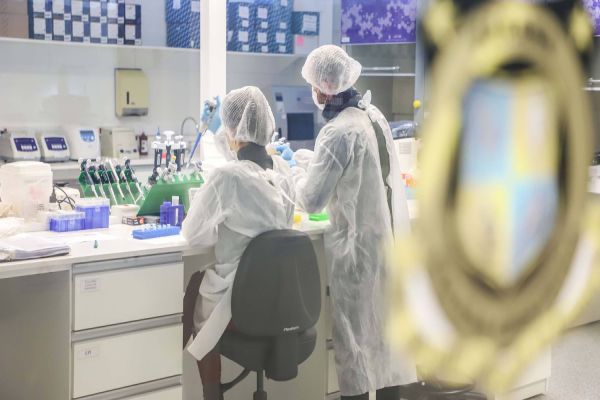 Investimento em banco de DNA ajudará a elucidar desaparecimentos de crianças