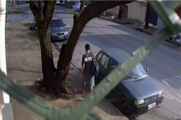 Imagem referente a notícia: Maior Susto: Pedestre escapa por pouco de queda de árvore de grande porte; Veja o vídeo