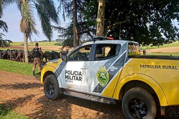 Em 90 dias, Operação Segurança Rural prende mais de 100 pessoas e apreende 32 armas