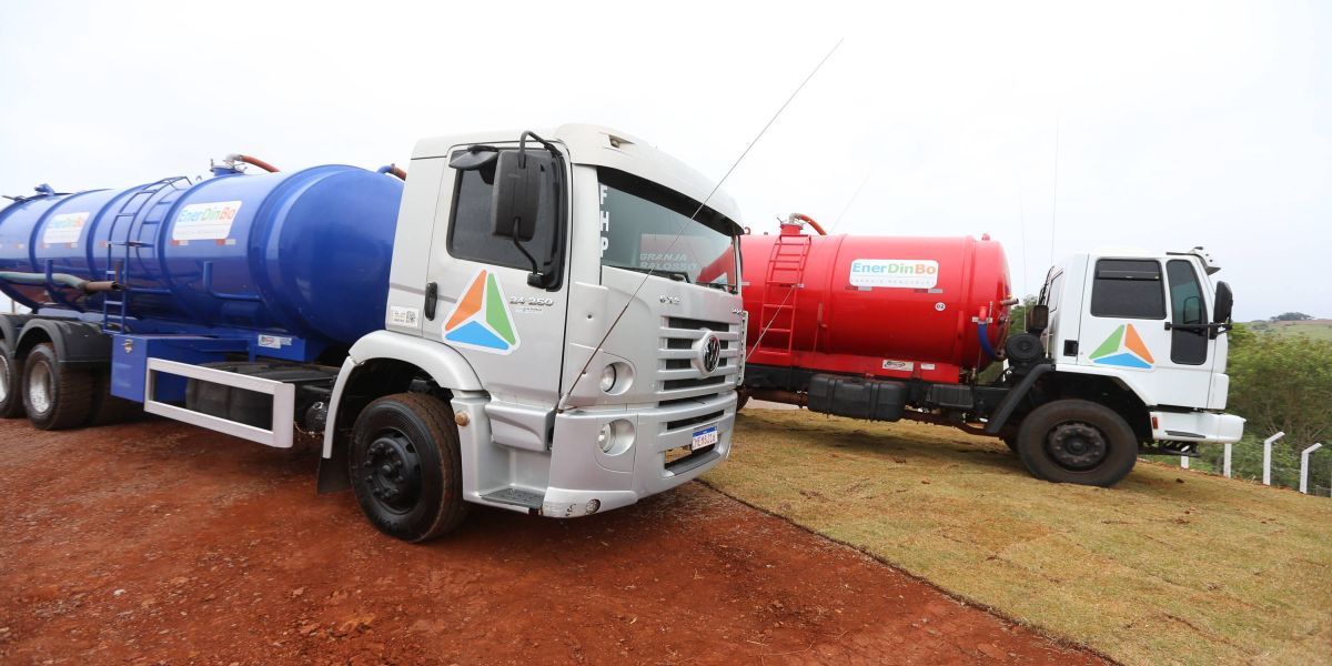 Cooperativa e central de bioenergia expandem parceria por uma produção de suínos mais sustentável