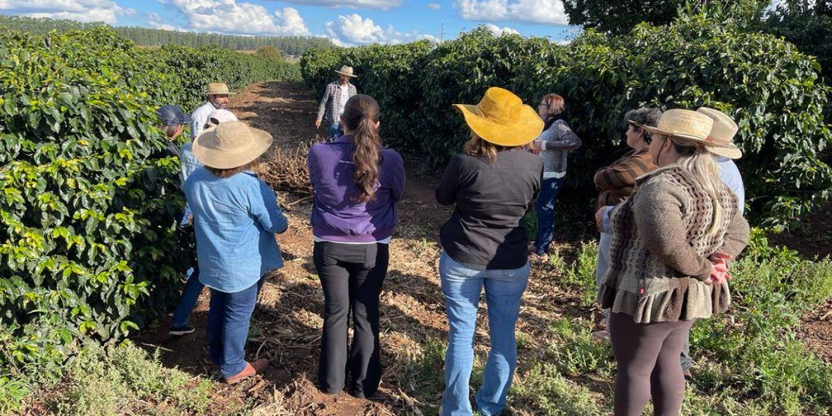 Insurtech inicia projeto piloto de seguro paramétrico para mulheres cafeicultoras