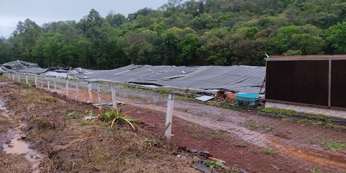 Temporal causa estragos no Verê; Um aviário ficou totalmente destruído