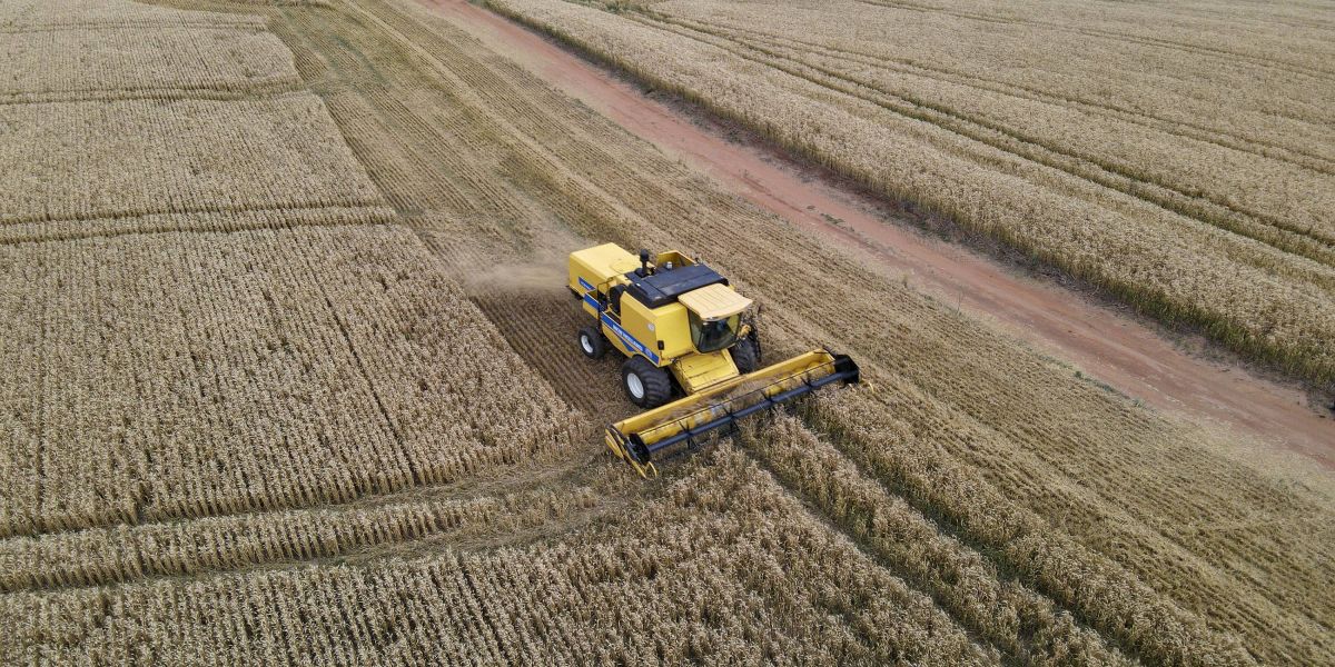 PIB do Paraná cresce 3,8% no primeiro semestre, acima da média nacional