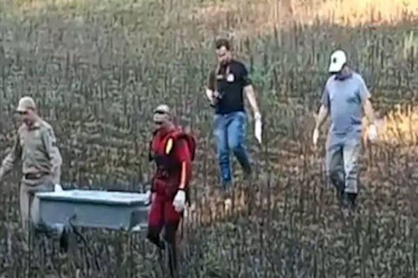 Imagem referente a notícia: Corpo de bebê levado pela enxurrada é encontrado após seis dias de buscas no interior de Pato Branco