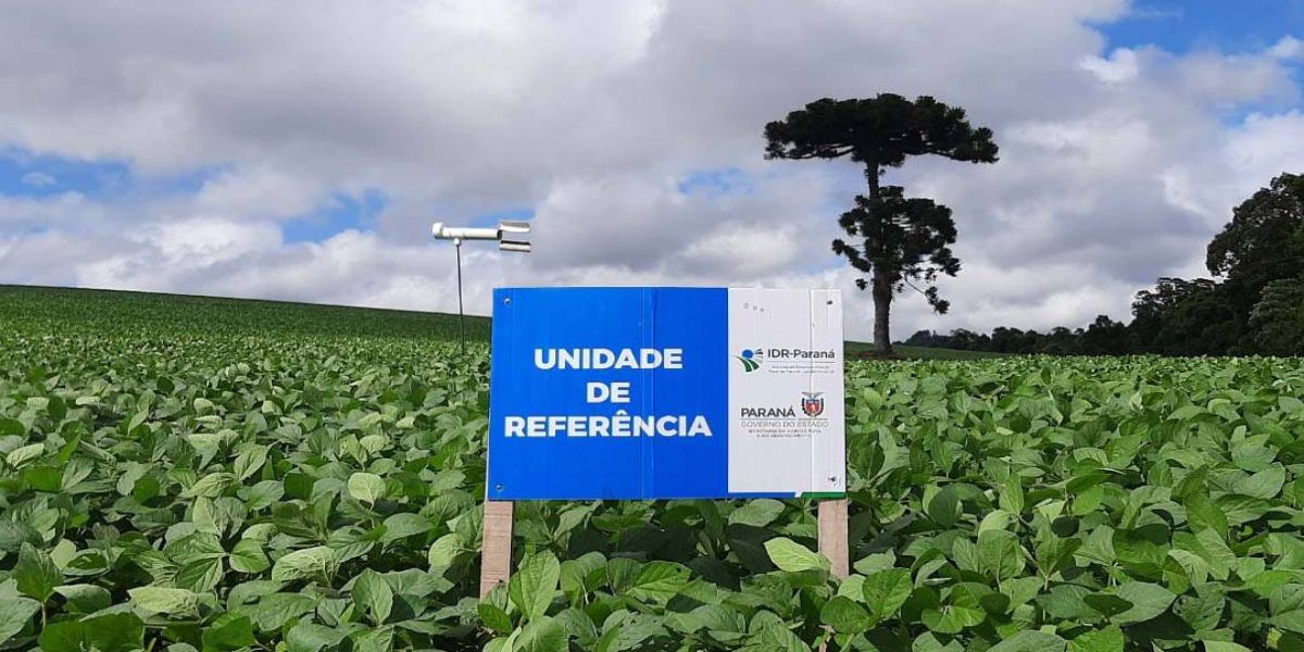 IDR-Paraná inicia os trabalhos da rede Alerta Ferrugem da soja safra 2022/2023