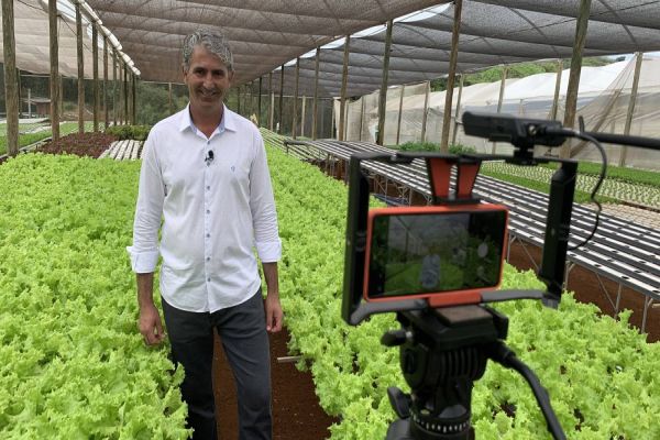 Imagem referente a notícia: Produtor do Oeste do Paraná se destaca na internet com vídeos sobre os cuidados com Hortaliças