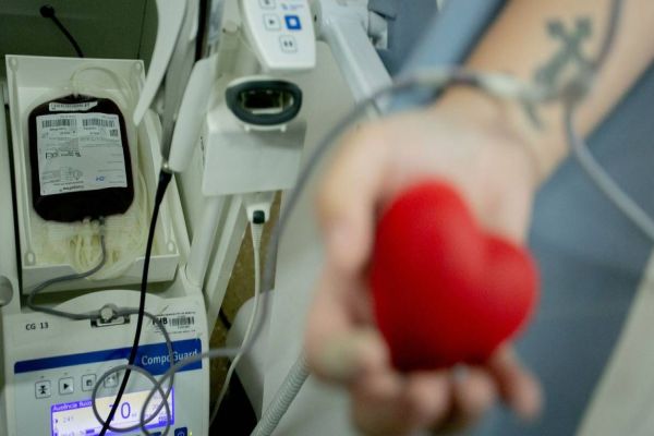 Inca registra queda de 30% no número de doadores de sangue em setembro