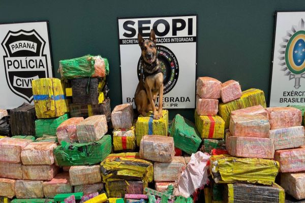 PCPR faz sua maior apreensão de drogas no ano: 3,5 toneladas de maconha