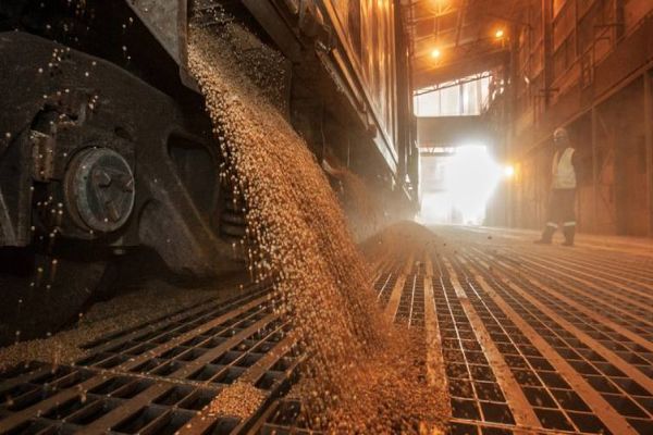 Portos paranaenses registram aumento no transporte ferroviário em 2022