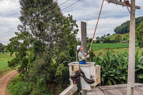 Copel completa 68 anos prestes a concluir 10 mil km de redes do programa Paraná Trifásico