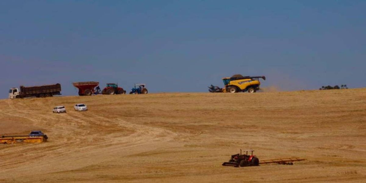Secretaria da Agricultura estima safra 22/23 em 25,7 milhões de toneladas de grãos