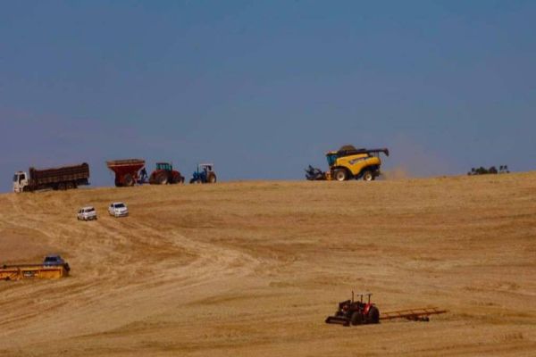 Secretaria da Agricultura estima safra 22/23 em 25,7 milhões de toneladas de grãos