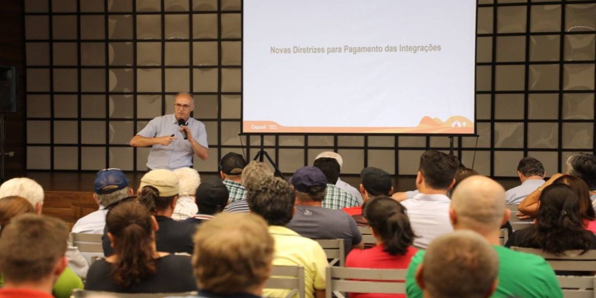 Avicultura: biosseguridade e divisão de frutos em discussão