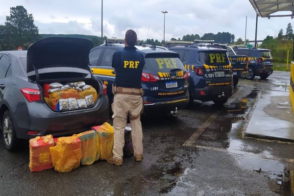 Imagem referente a notícia: PRF apreende mais de 450 quilos de maconha e 20 quilos de Skunk na BR-277