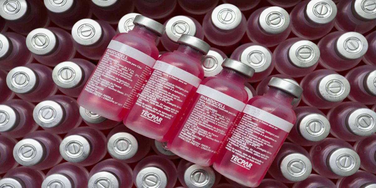 Tecpar fornece ao Ministério da Saúde 21 milhões de doses da vacina antirrábica em 2022