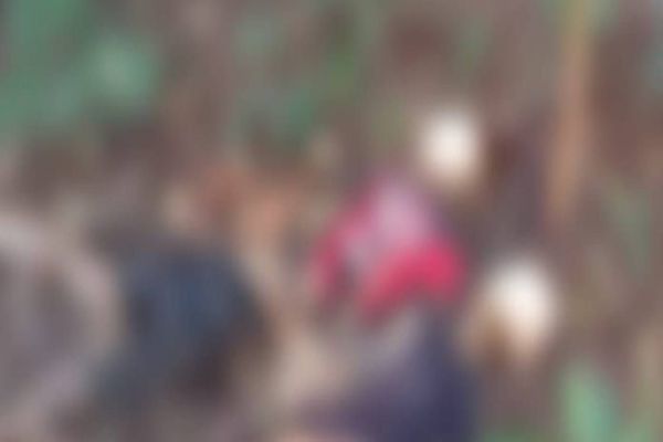 Corpos encontrados em Ubiratã pode ser dos dois jovens desaparecidos em Cafelândia