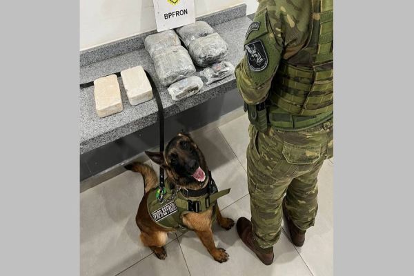 Imagem referente a notícia: BPFRON apreende 2,3 kg de maconha em ônibus de transporte interestadual em Cascavel