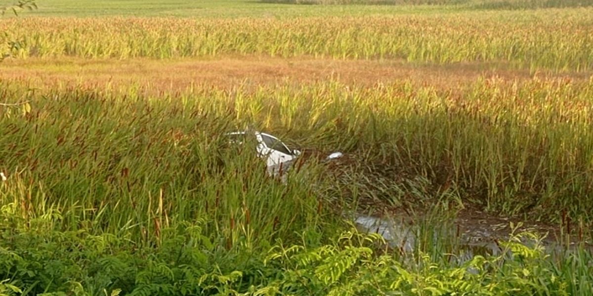 Caminhonete roubada cai dentro de lagoa próximo à Ponte Ayrton Senna