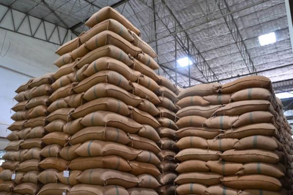 Tecnologia ajuda agroindústrias no controle de estoque e aumento da produtividade