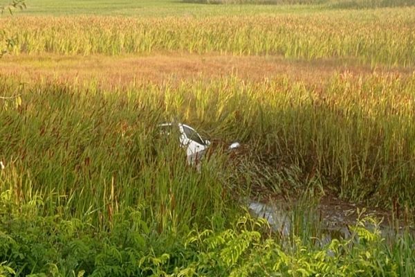 Caminhonete roubada cai dentro de lagoa próximo à Ponte Ayrton Senna