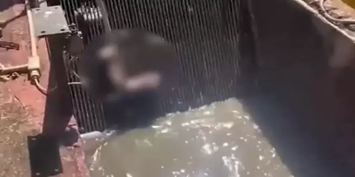 Após encontrar braços, polícia busca resto do corpo de homem em estação de tratamento da Sanepar