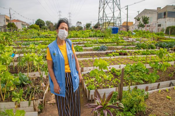 Hortas urbanas da Copel expandem consumo de orgânicos e incentivam integração comunitária