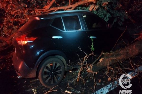 Veículo colide em árvore derrubada por manifestantes na PR-495, em Santa Helena