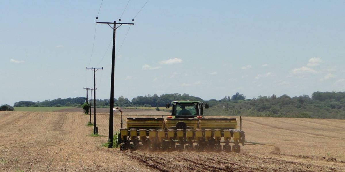 Copel e entidades do agronegócio promovem campanha para evitar acidentes na área rural