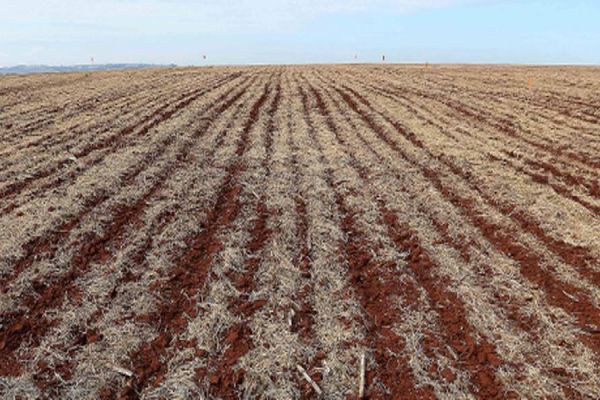 FAEP emite nota de repúdio contra o projeto de lei que taxa agropecuária paranaense