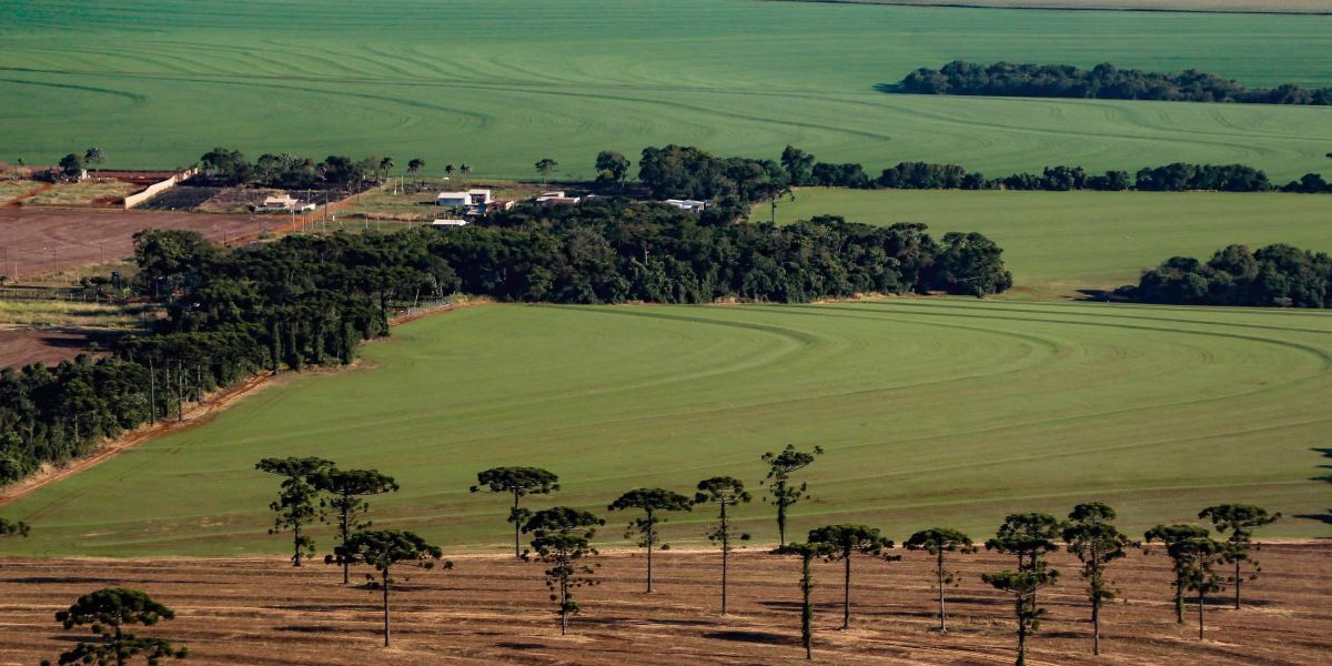Caderno Regional Agropecuário analisa formação do preço de terras no Paraná