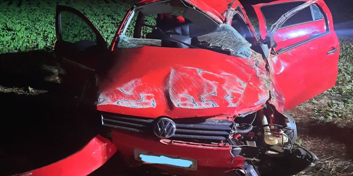 Homem fica ferido após capotar veículo na PR-364, em Palotina