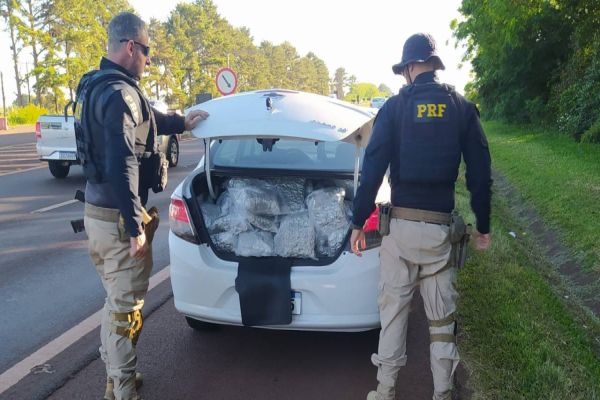 Imagem referente a notícia: PRF prende jovem transportando skunk na BR-277 no oeste do Paraná