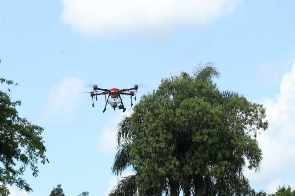 Apoio da Fudentec fortalece empresas incubadas