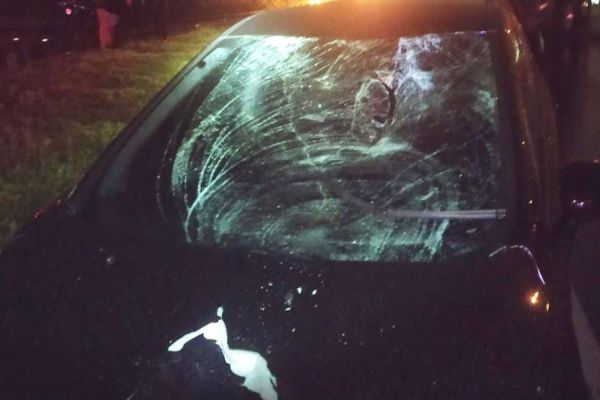 Pedestre de 50 anos morre após ser atropelado na BR-277 em Campo Largo