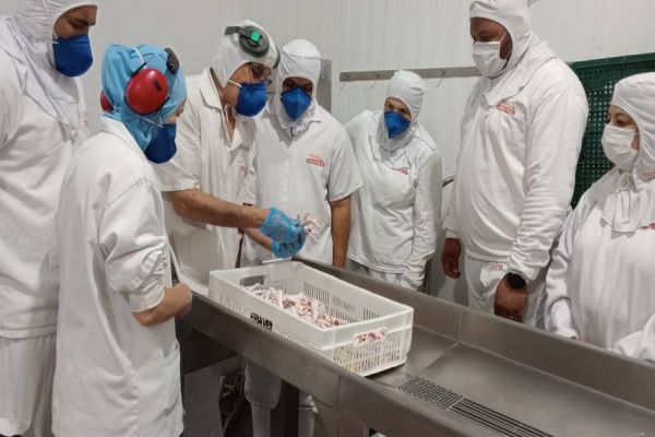 Visita guiada a frigorífico potencializa os resultados nos aviários da Coopavel