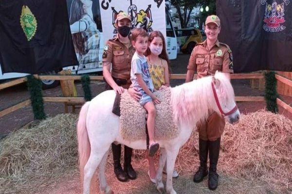 Natal do Oeste: Pônei fará diversão da criançada no Centro de Cascavel